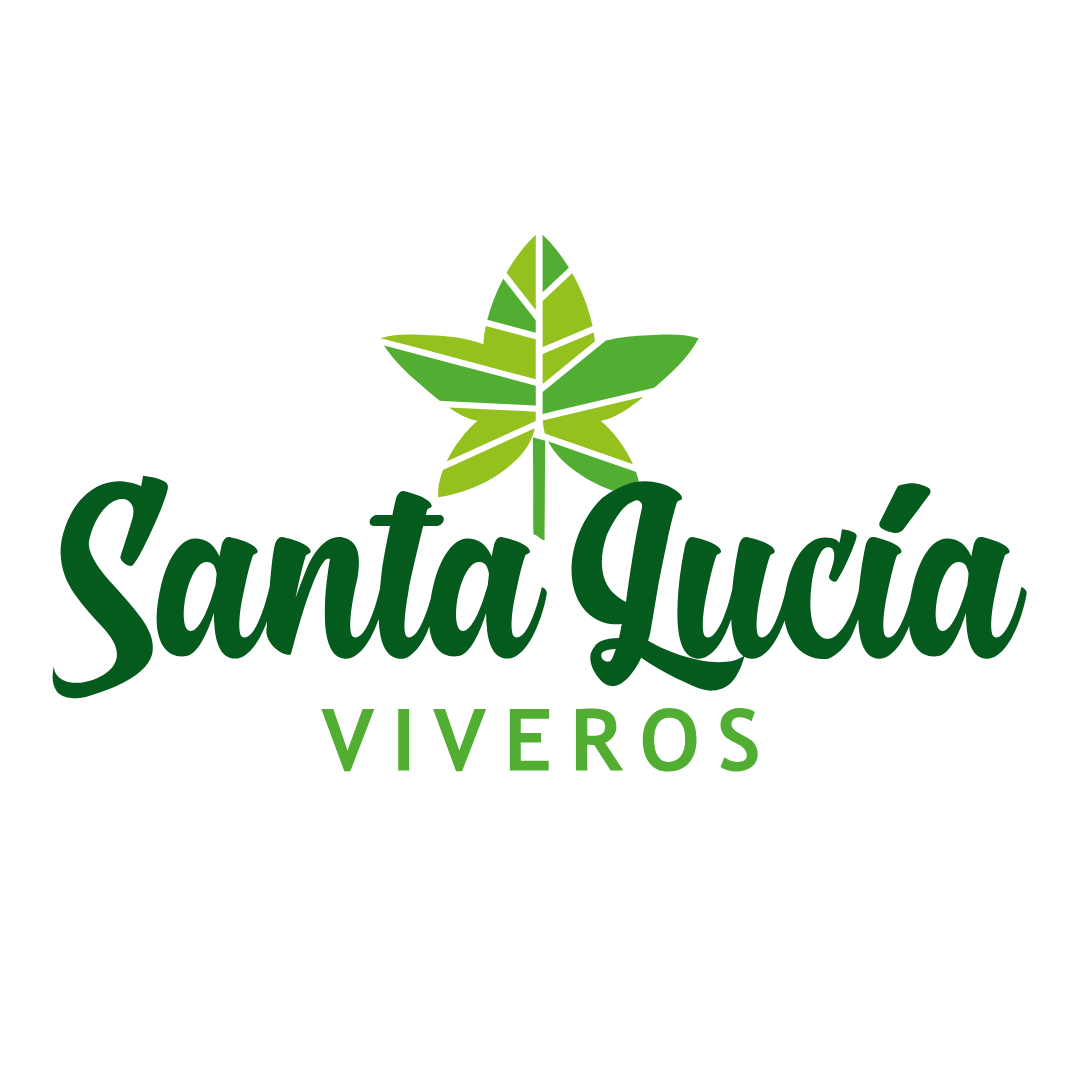 Vivero Santa Lucia 